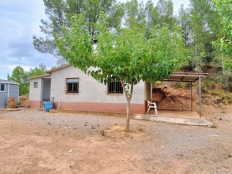 Finca in Ginestar, Tarragona province