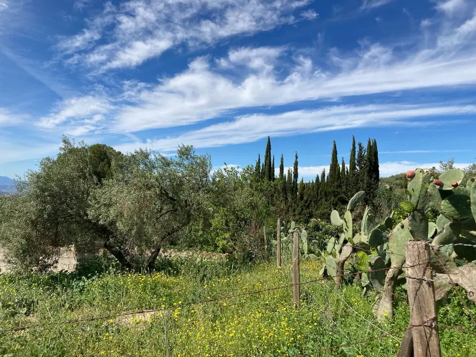 Country house in Antequera, Malaga photo 4