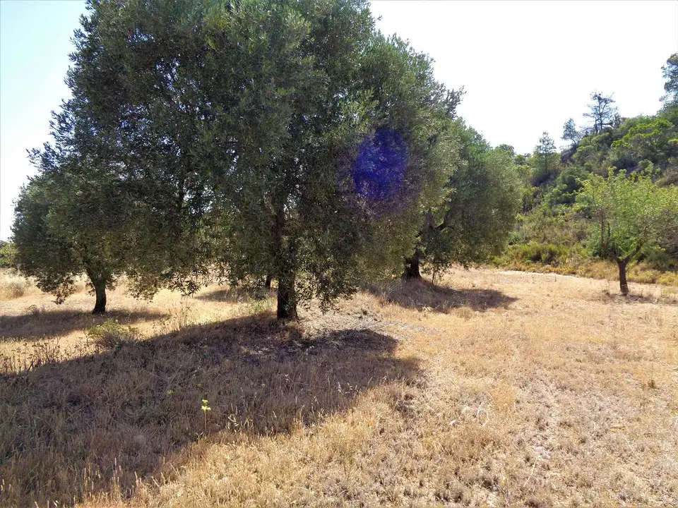 Finca in Maella, Zaragoza province photo 4