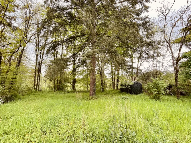 Detached Village House with Garden and Outbuildings photo 3