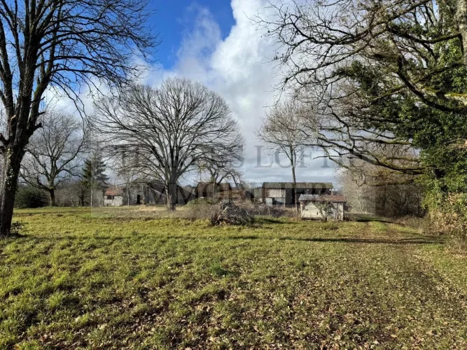 Former Farmhouse on 6 ha of Land