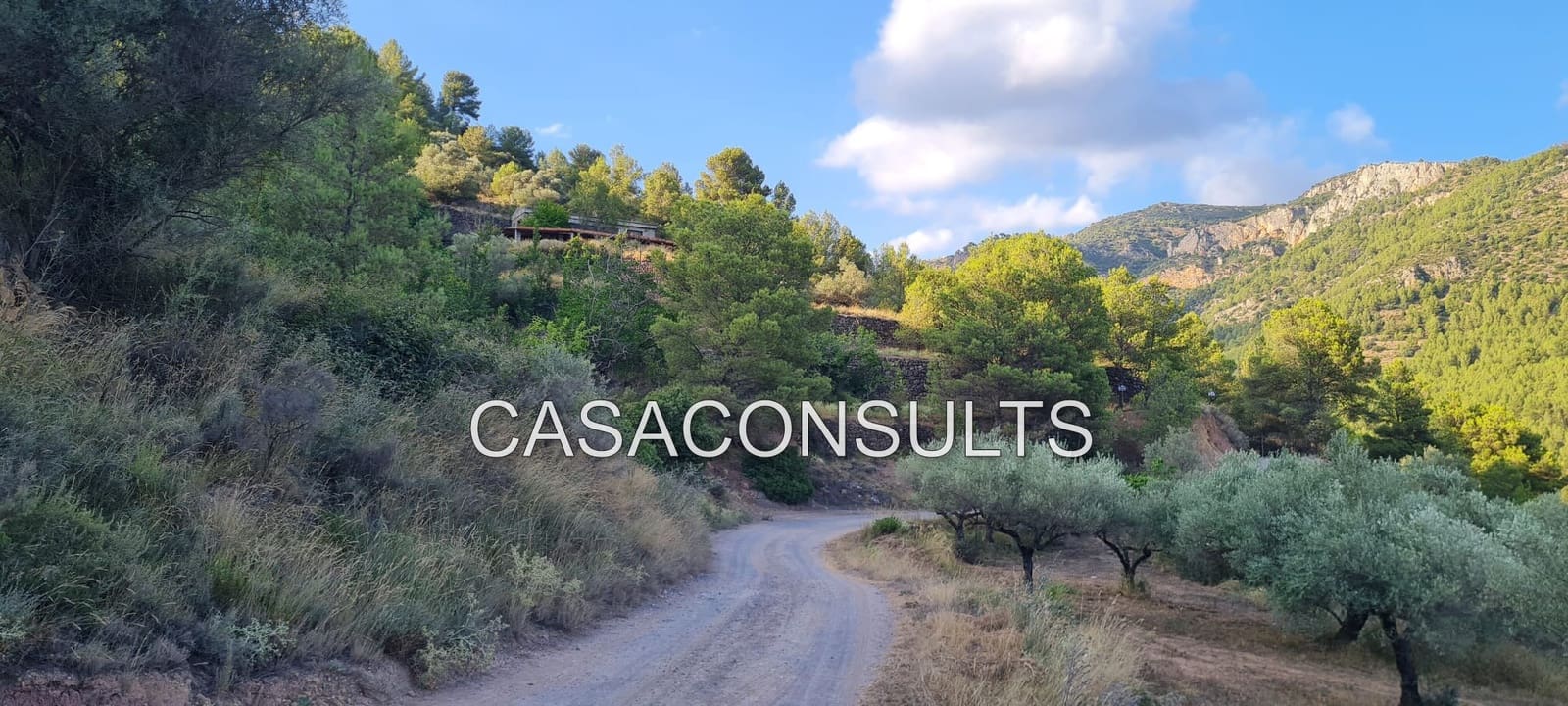 Finca/Country House for sale in Llucena , Castellón photo 5