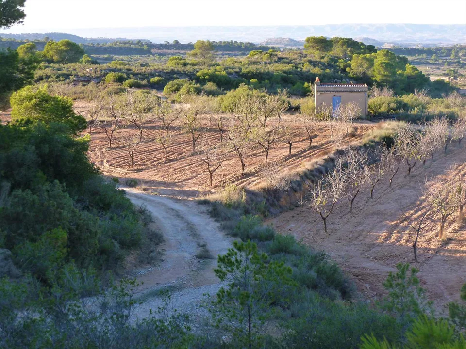 Finca in Fabara, Zaragoza province