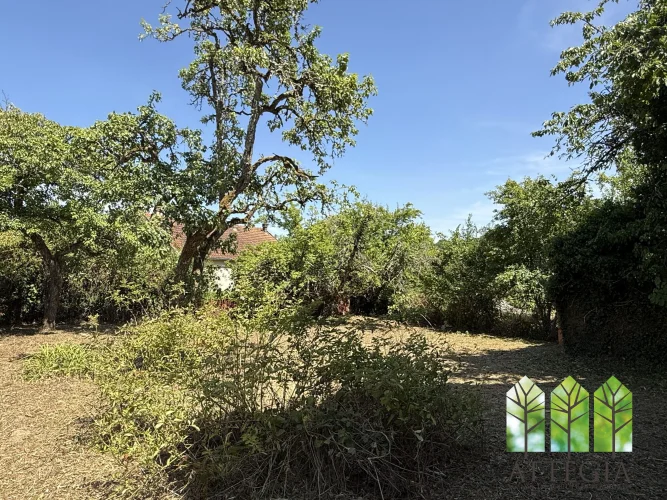 Between Bonnat and Aigurande – Renovation Project with Attached Barn, photo 2
