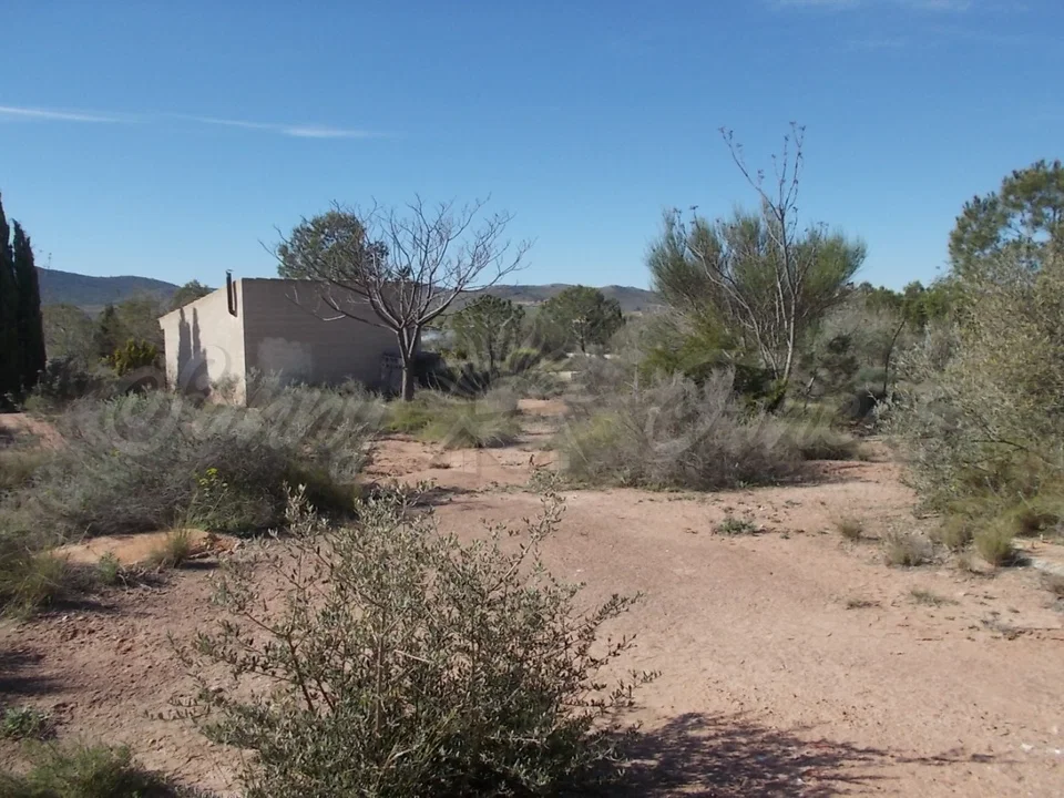 Finca in Yecla, Murcia province photo 2