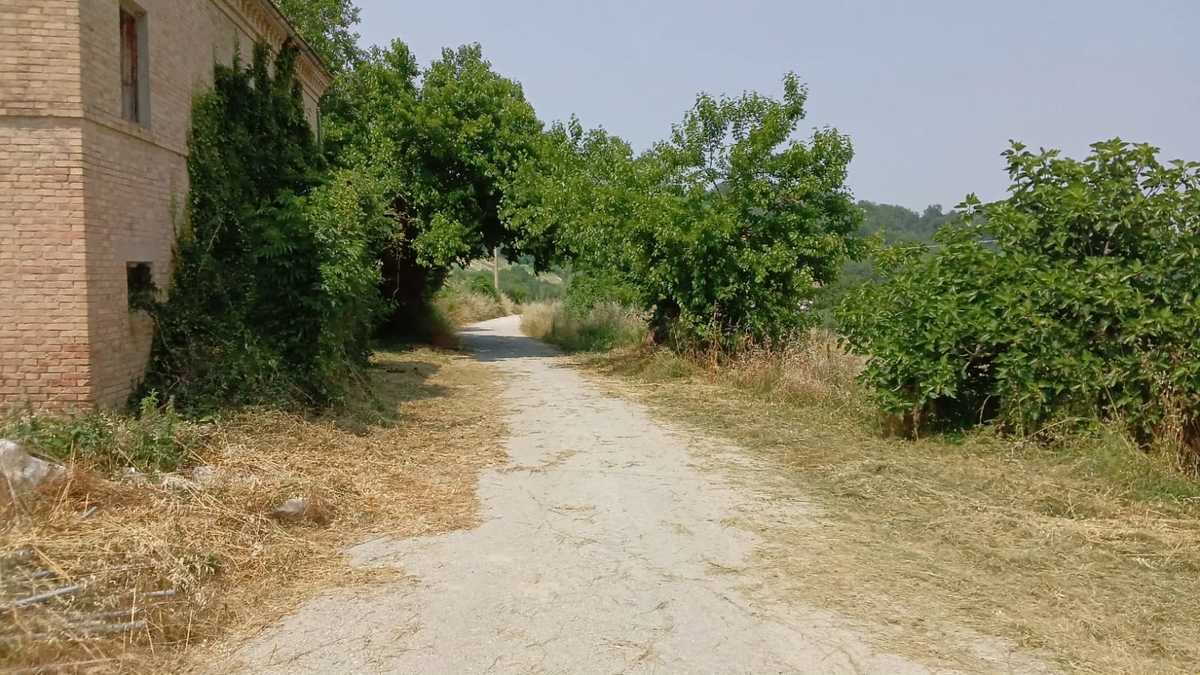4 bedrooms country house, 250 m² Montelparo, Fermo (province) photo 4