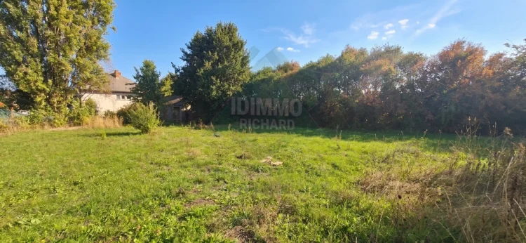 3-Bedroom House, Convertible Attic of 83 m², Basement photo 2