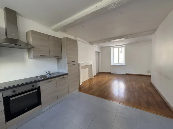 Chatillon Sur Seine (21): Modern House in the City Center, photo 3