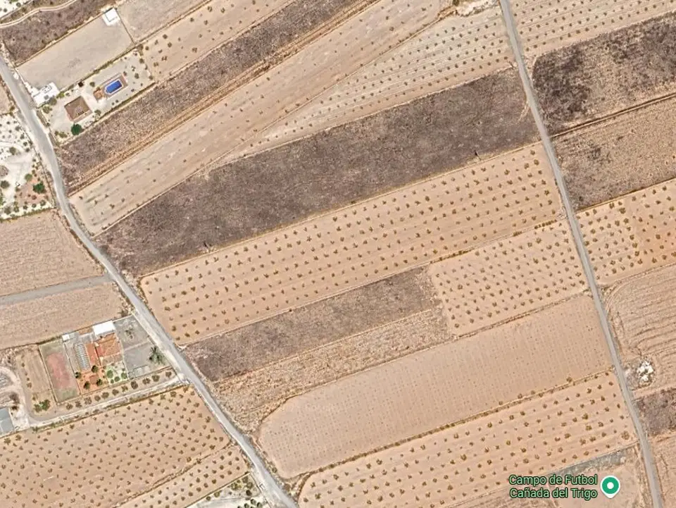 Country Fincas Pinoso S.L. photo 2