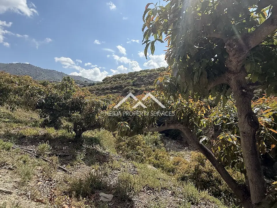 Nerja Property Services photo 2