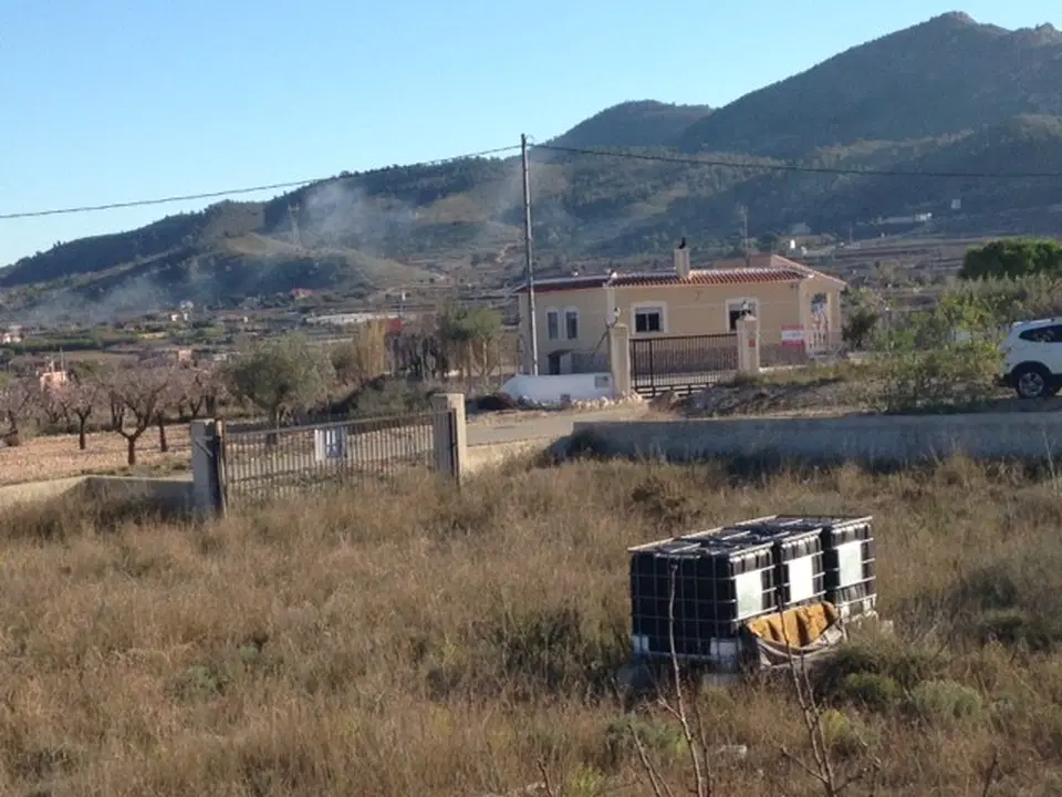 Alicante Dream Property  photo 4
