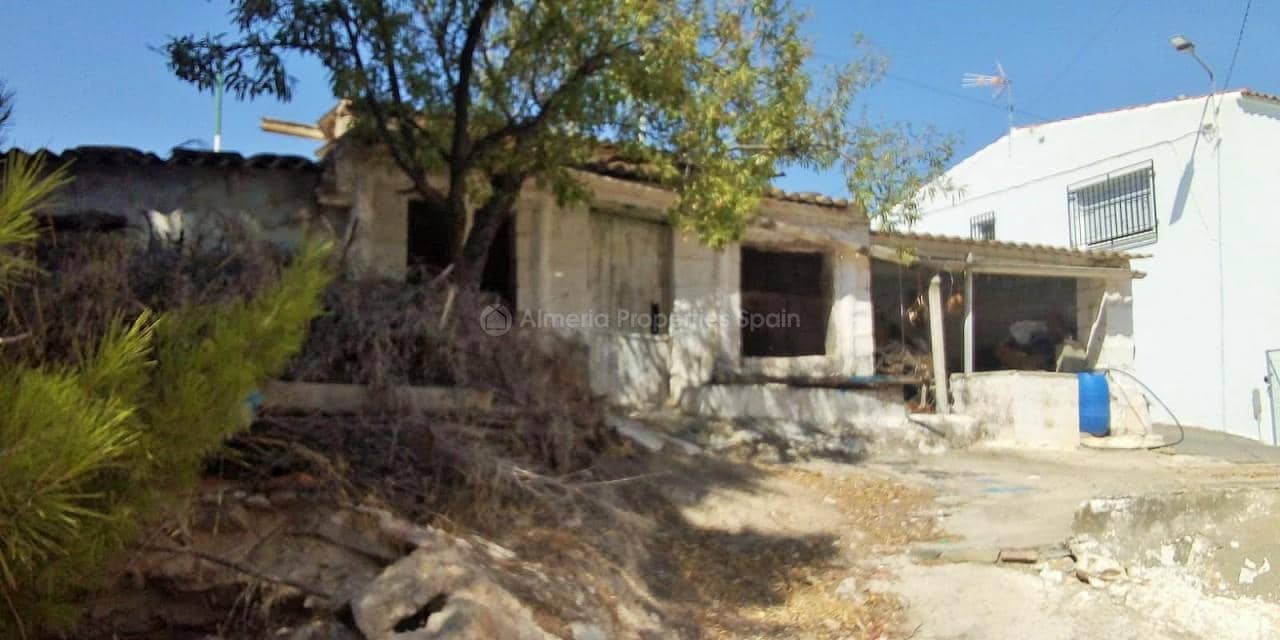 Finca/Country House for sale in Arboleas, Almería photo 3