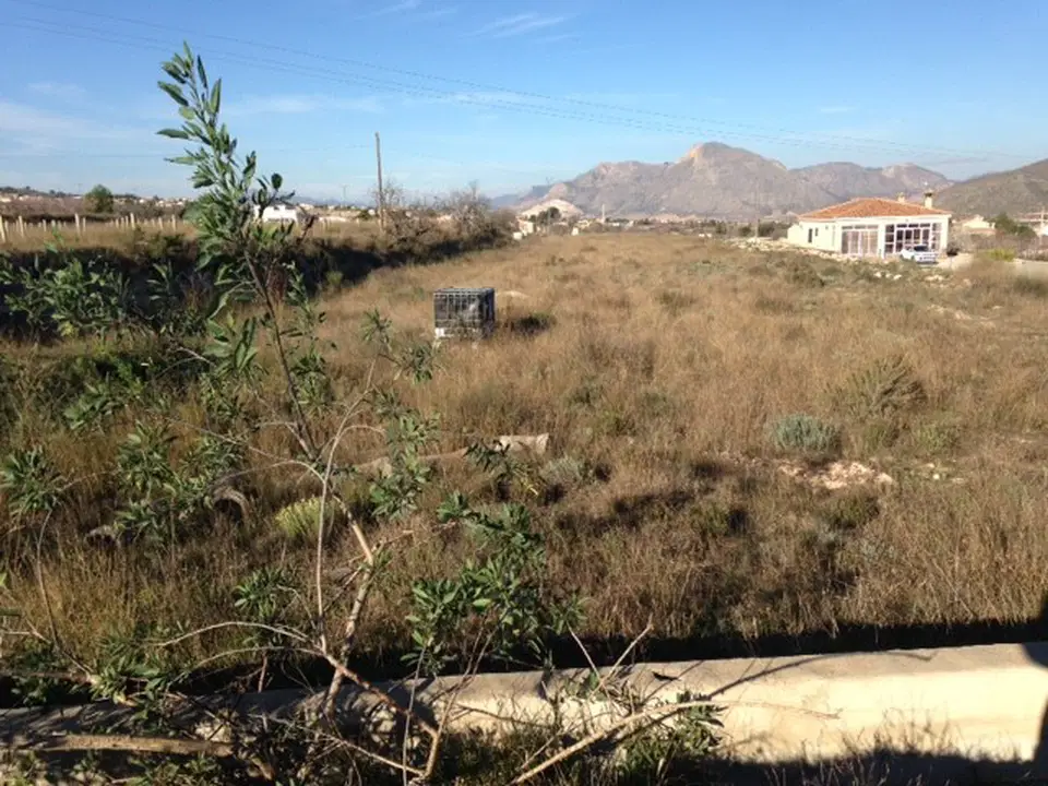 Alicante Dream Property  photo 2
