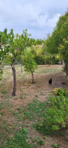 Center of Condom - House with Adjacent Garden to Refresh photo 2