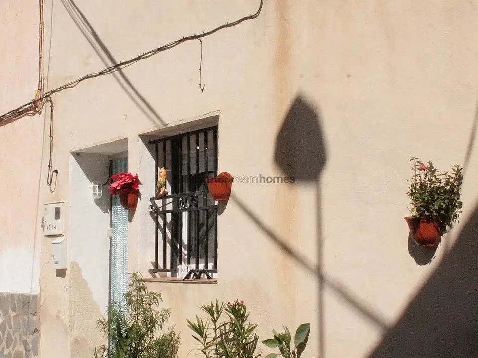 Alicante Dream Property  photo 2