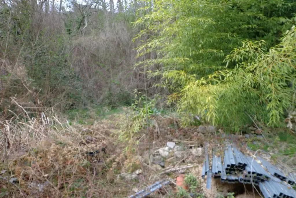 Maison photo 2