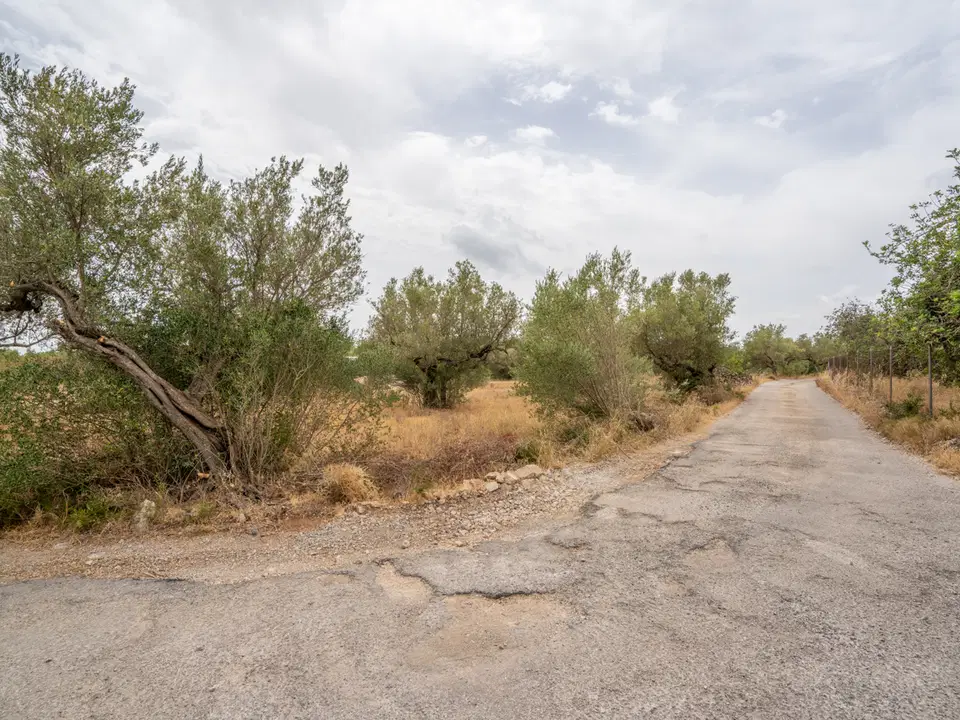 MAS CATALAN RURAL PROPERTIES S.L.U. photo 4