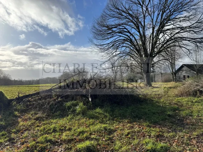 Former Farmhouse on 6 ha of Land photo 2