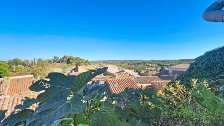 Village House with Terraces