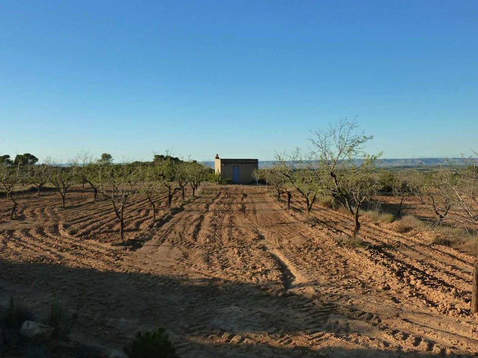 Finca in Fabara, Zaragoza province photo 3