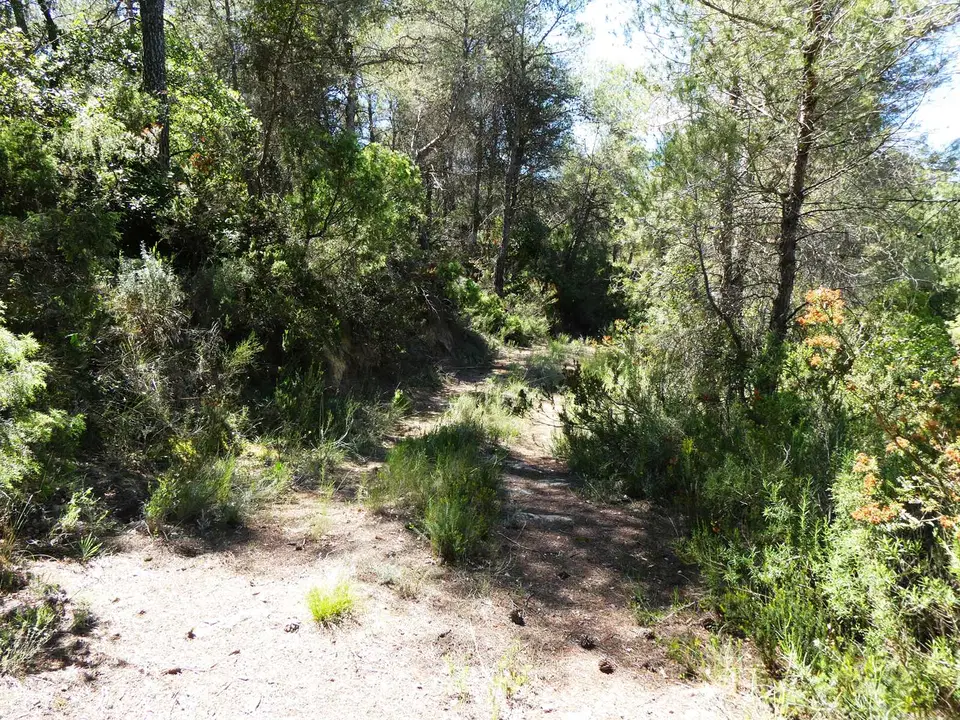 Finca in Arens De Lledo, Teruel province photo 2