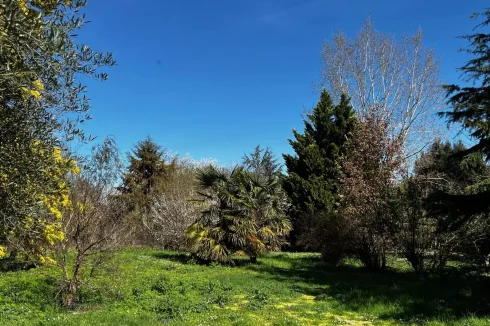 Character House Set in 1.24 Hectares of Wooded Grounds photo 3