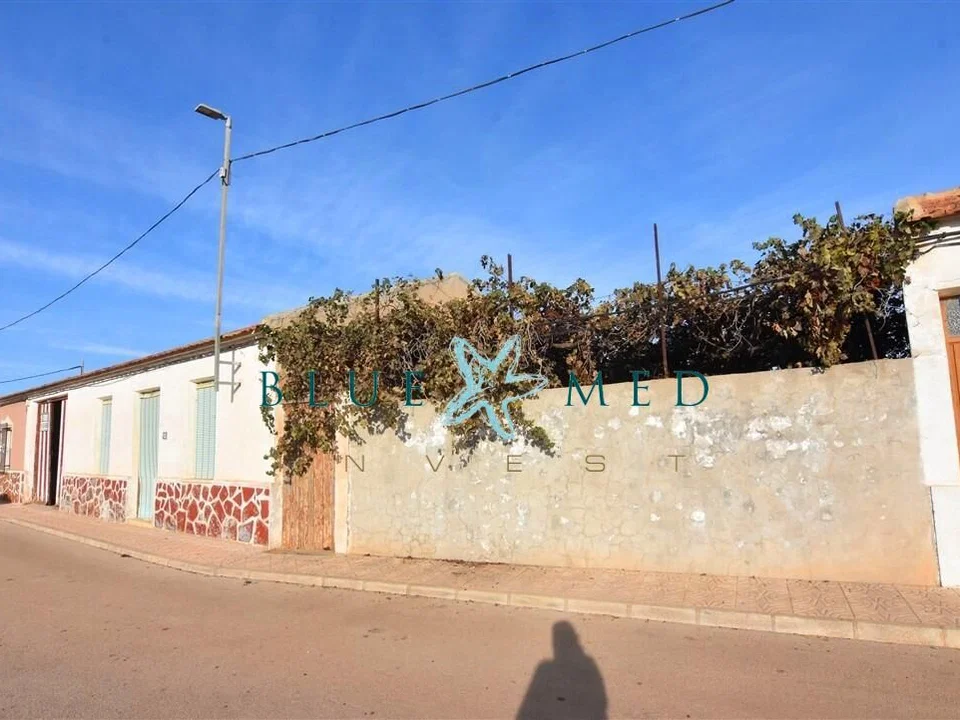 Blue Med Invest photo 2