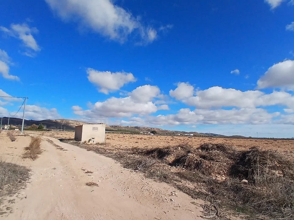 Alicante Dream Property  photo 2