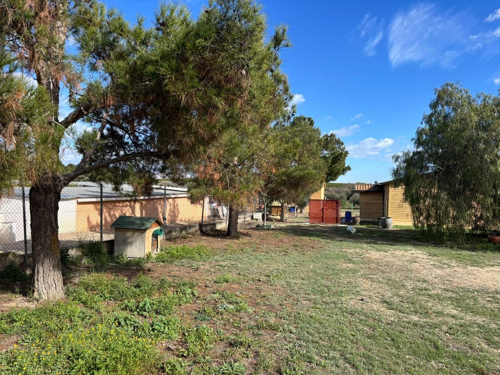 Wooden Home for sale in Fortuna, Murcia photo 3