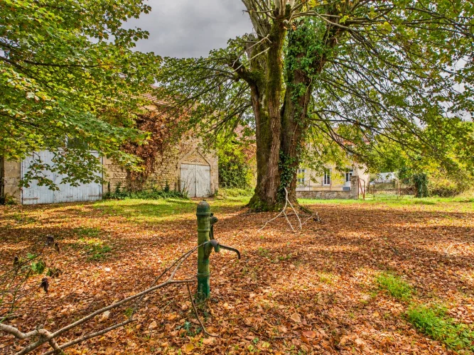 Old-Fashioned Charm & Vintage Atmosphere Near the 3 Lakes photo 5