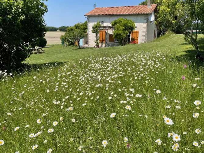Renovated Traditional Stone Cottage, Brossac, Charente photo 3