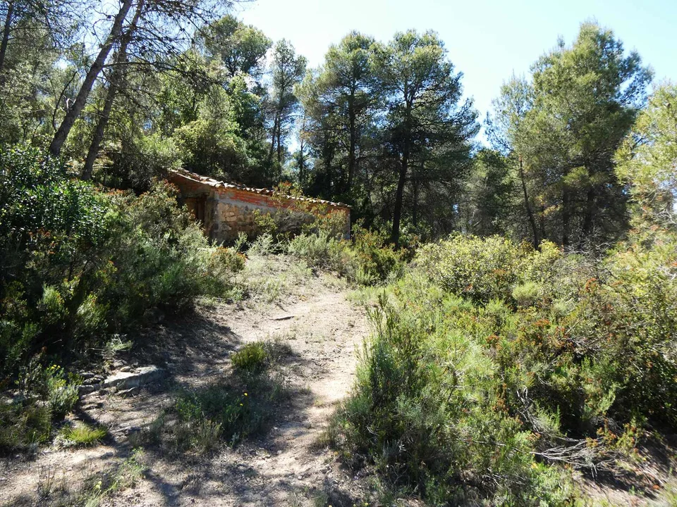 Finca in Arens De Lledo, Teruel province photo 4