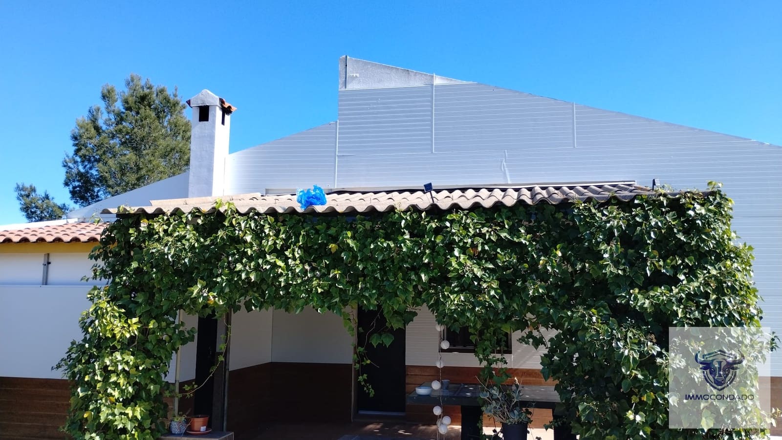 Finca/Country House for sale in Trigueros, Huelva photo 2
