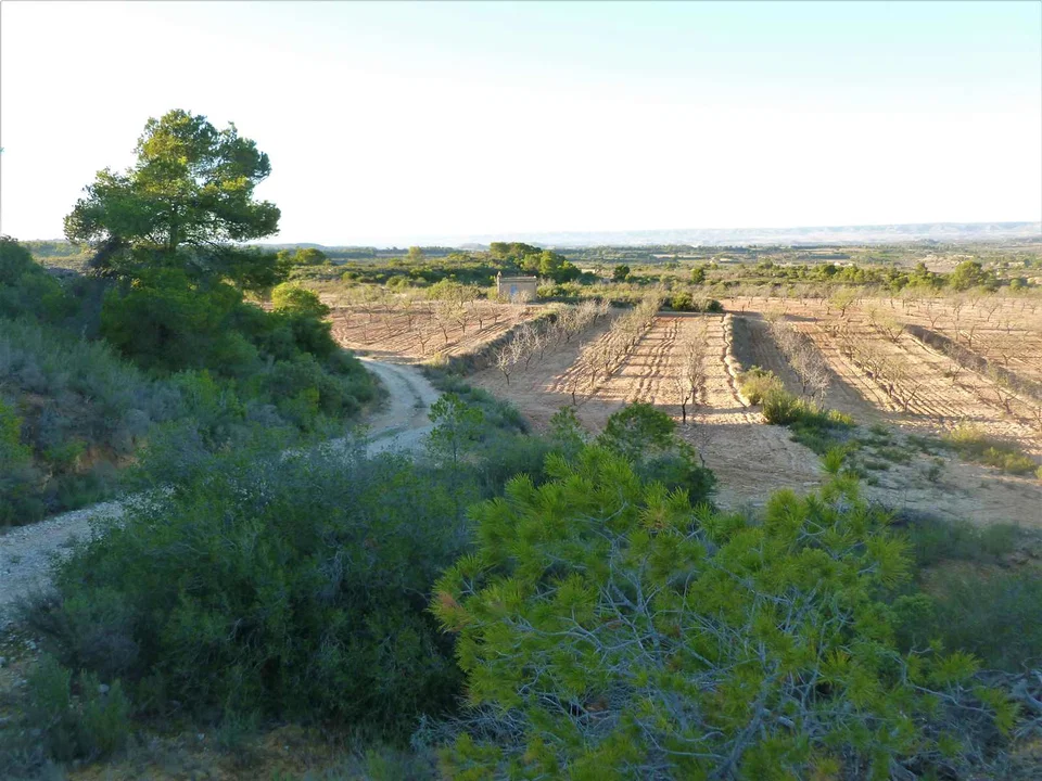 Finca in Fabara, Zaragoza province photo 2