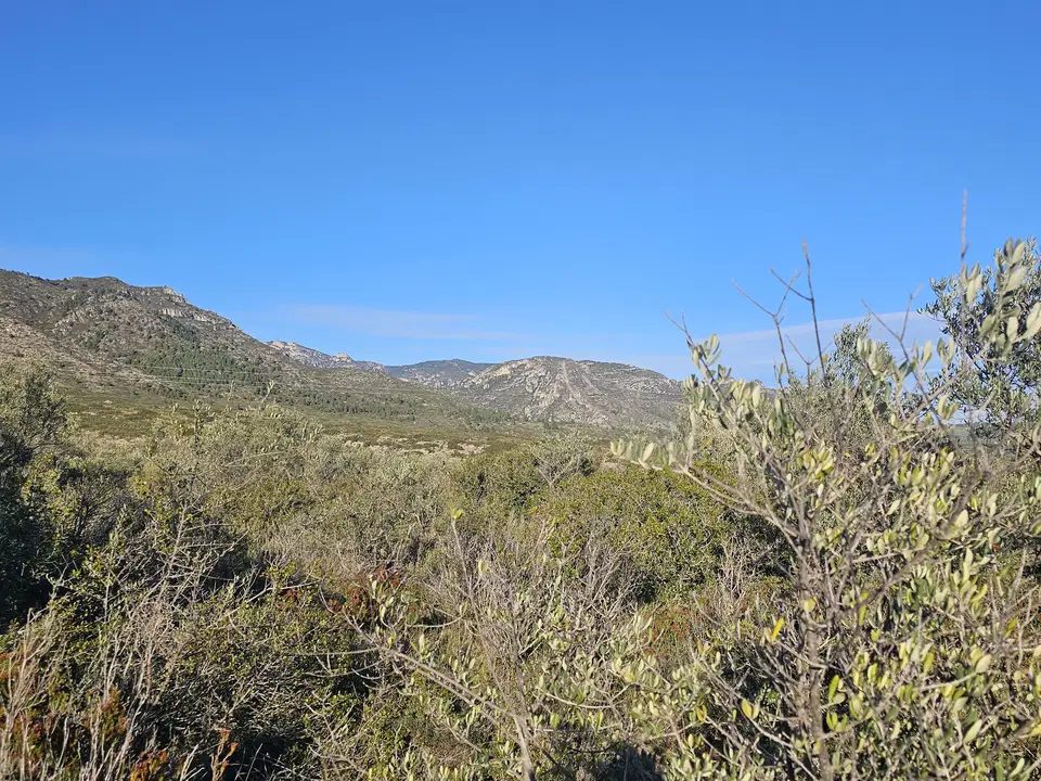 Beach Property in Spain photo 3