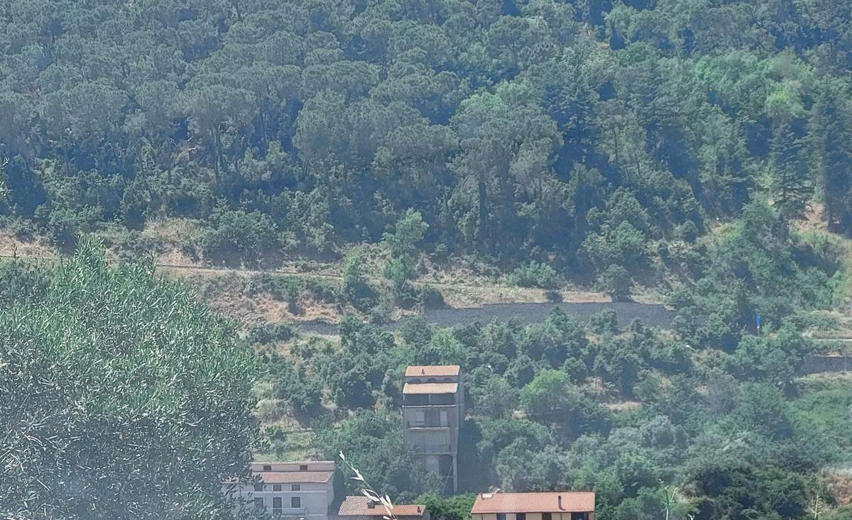 Property in Bitti photo 3