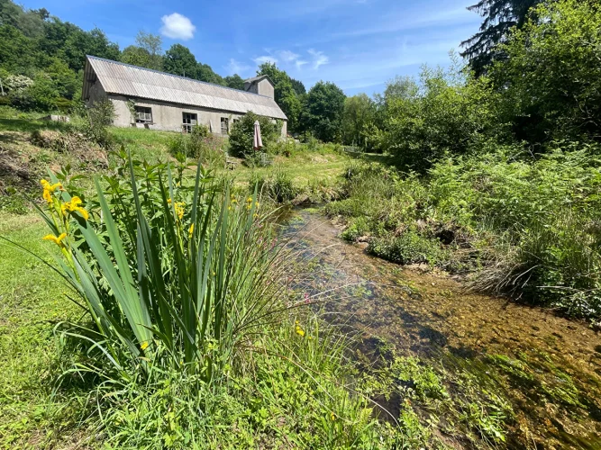 Finistère: Huelgoat. Charming 3 Bed, 2 Bath Renovated Cottage with Land and Gite Potential. photo 2