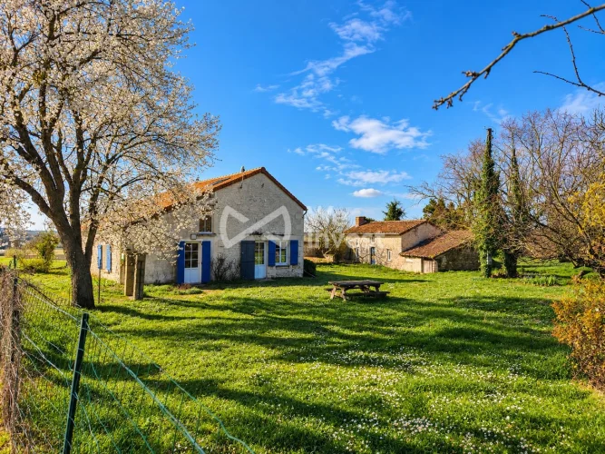 Country House + Second Property to Renovate – Peaceful Setting photo 3