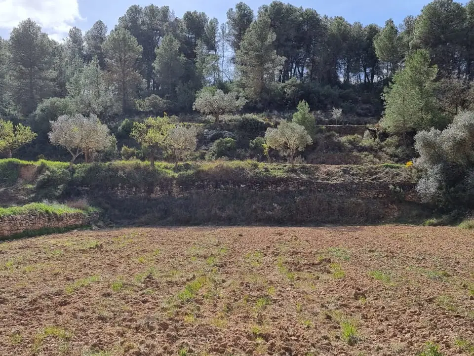 Catalancasas photo 5