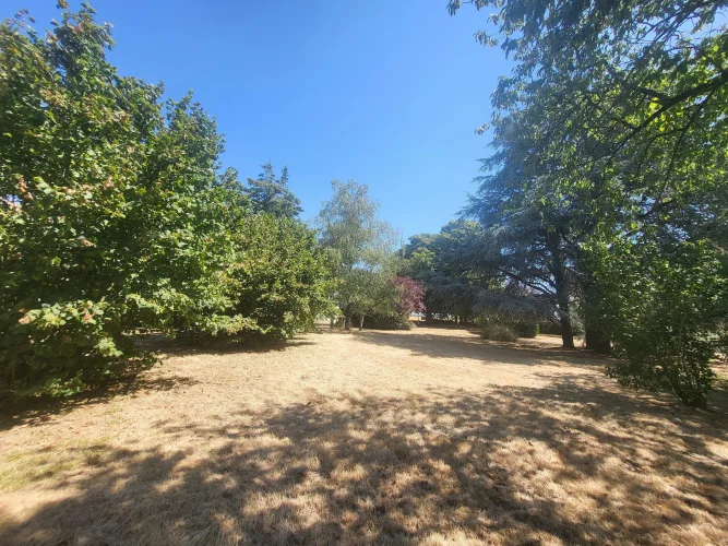 Charming Country Property with Guest Accommodation and Exceptional Potential photo 2