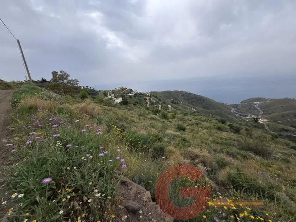 Gestion Internacional photo 4