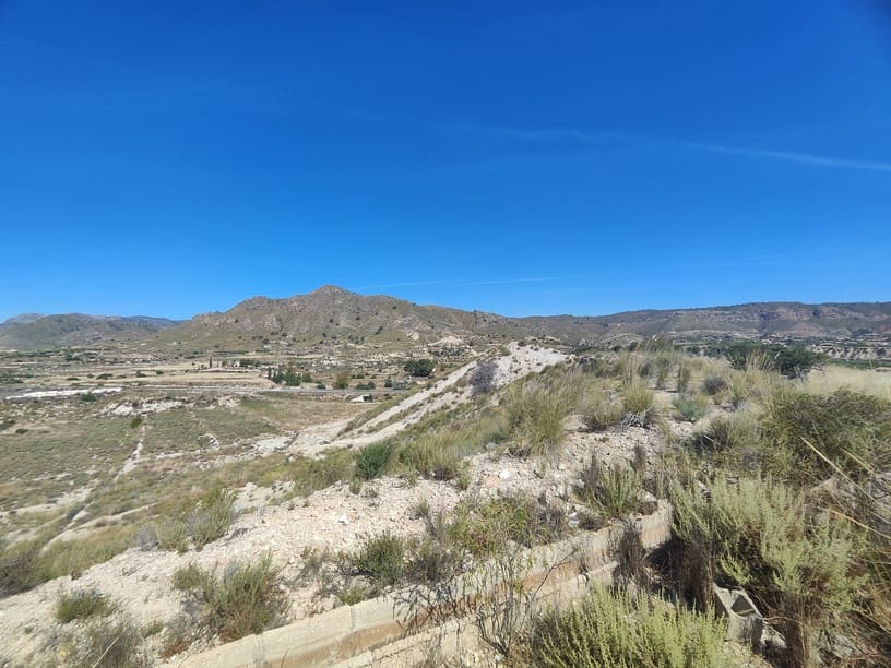 Finca/Country House for sale in Abanilla, Murcia photo 5