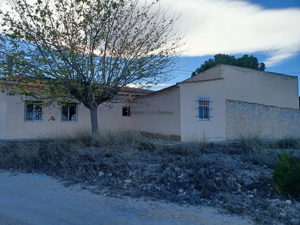 Alicante Dream Property  photo 4