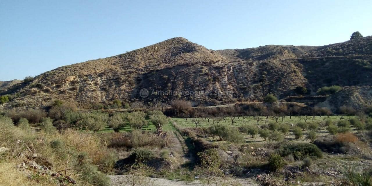 Finca/Country House for sale in Arboleas, Almería photo 3