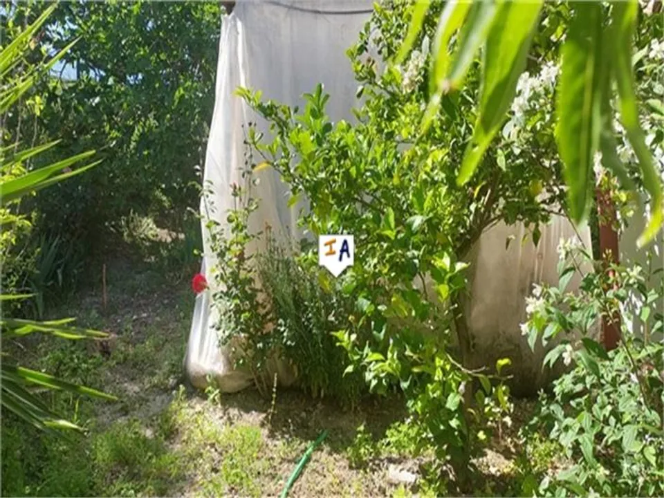 Inland Andalucia photo 4