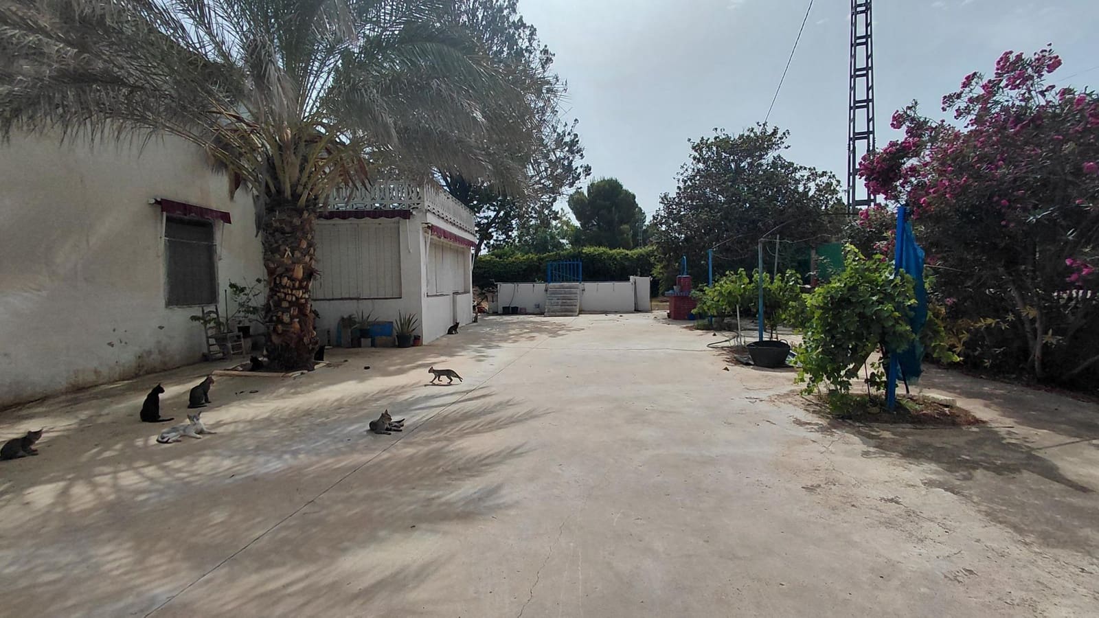Finca/Country House for sale in Villena, Alicante