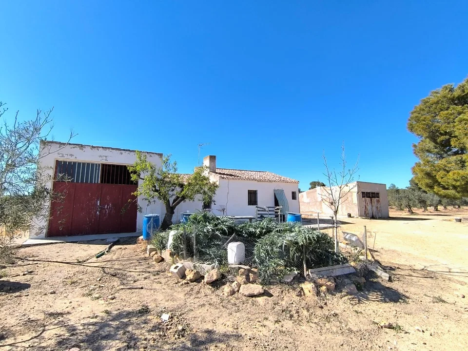 Stratus International Properties photo 3