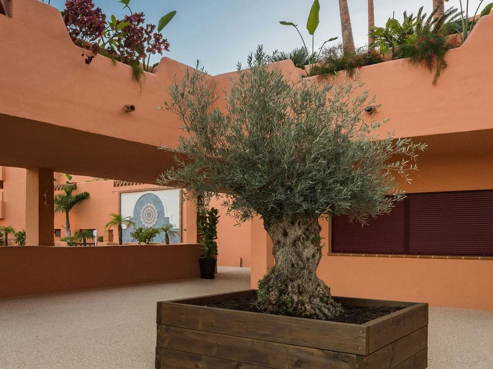 Apartment in Estepona, Malaga photo 5