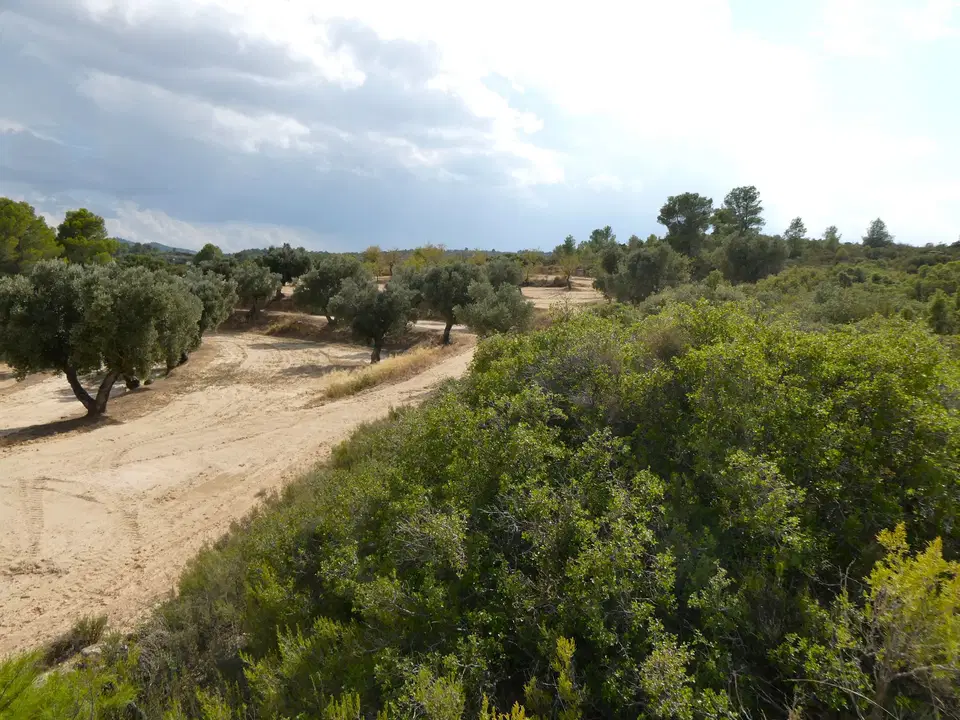 Finca in Calaceite, Teruel province photo 4