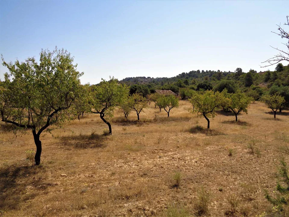 Finca in Maella, Zaragoza province photo 3